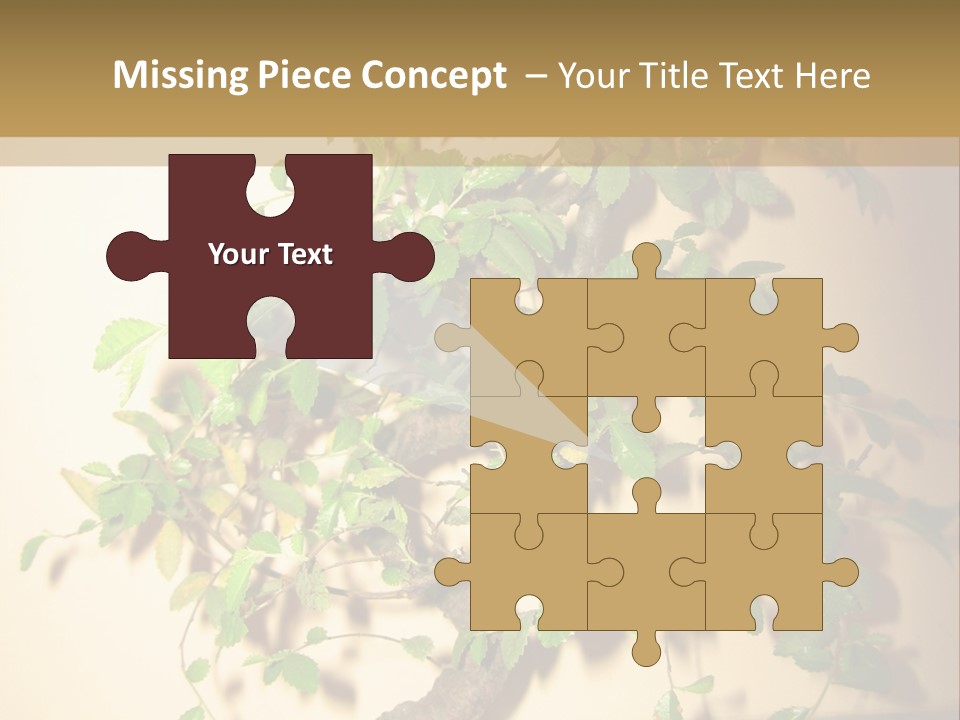 Drink Lunch Grill PowerPoint Template