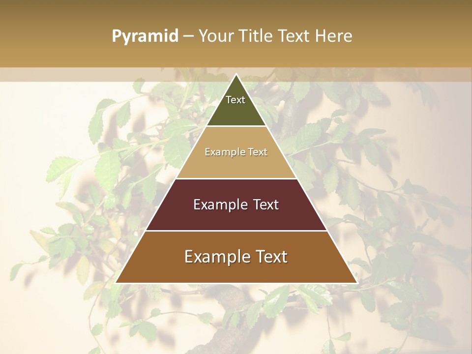 Drink Lunch Grill PowerPoint Template