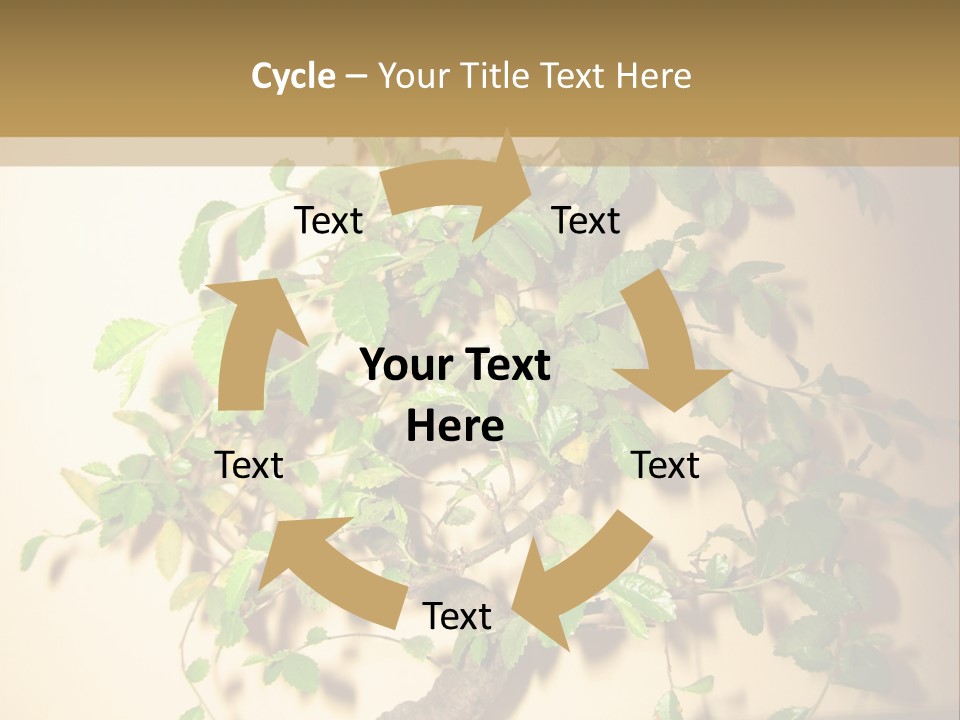 Drink Lunch Grill PowerPoint Template