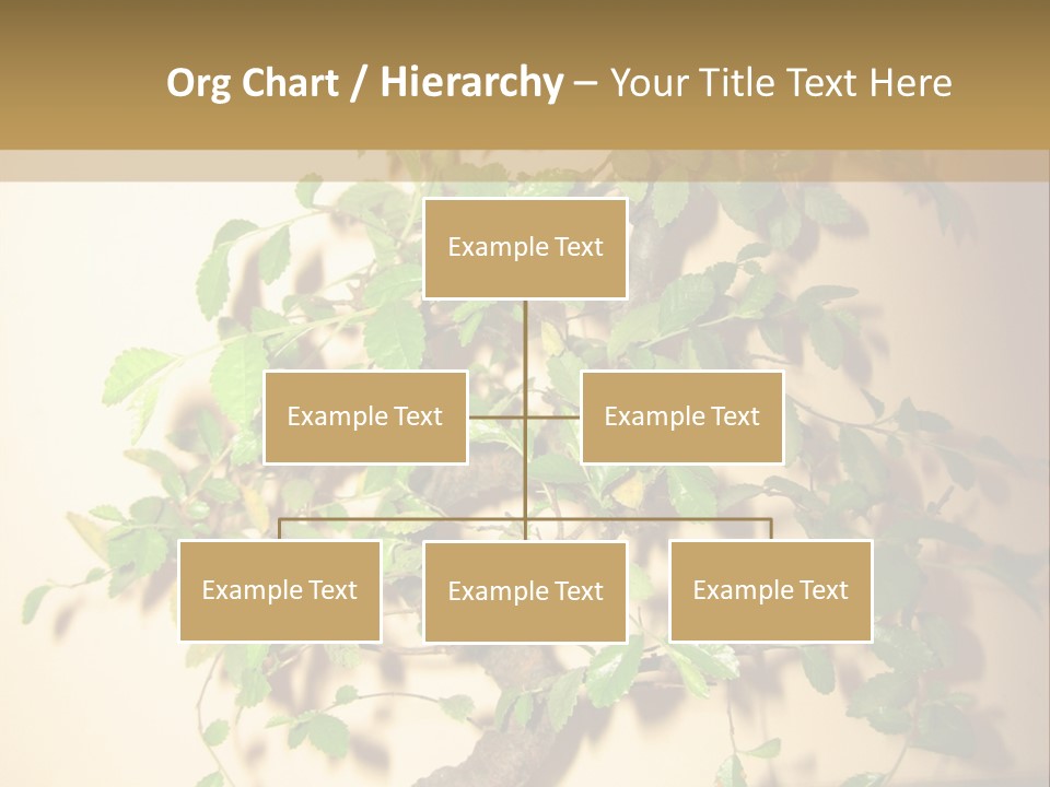 Drink Lunch Grill PowerPoint Template