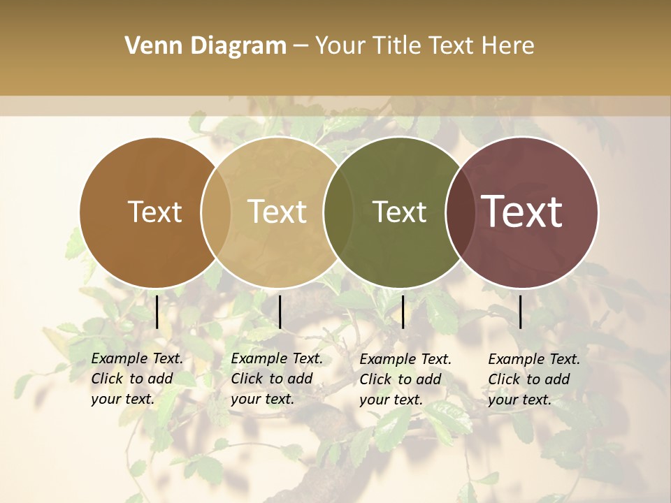 Drink Lunch Grill PowerPoint Template