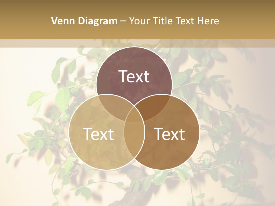 Drink Lunch Grill PowerPoint Template