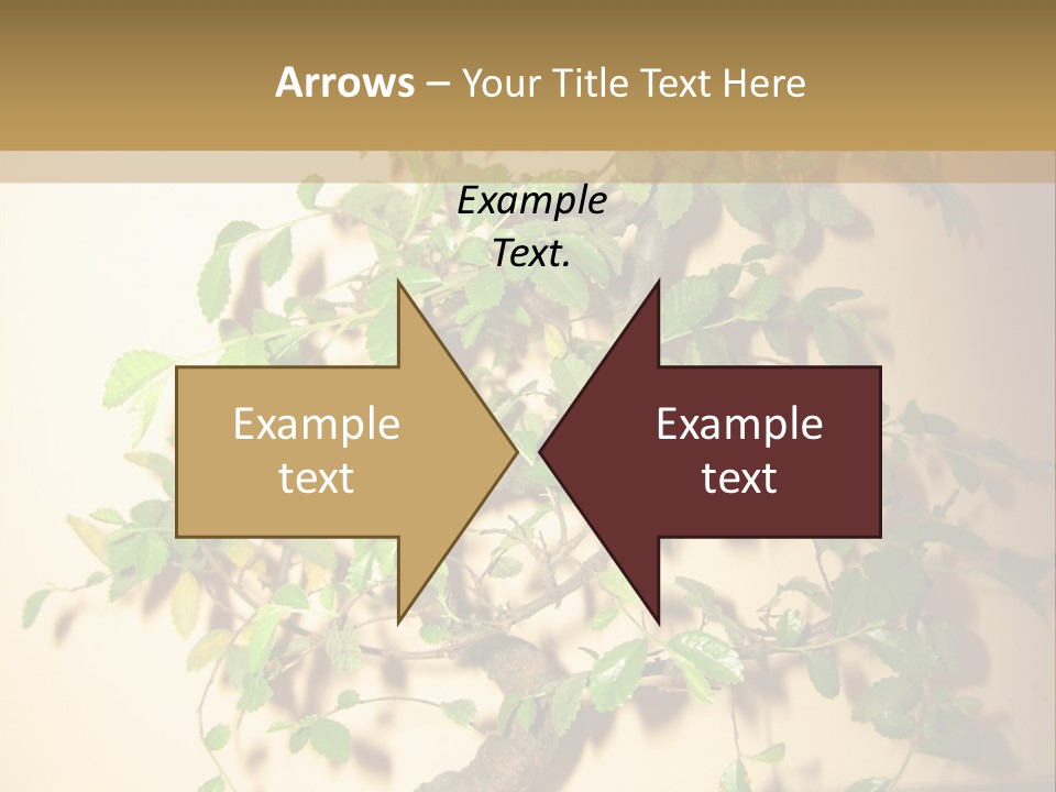 Drink Lunch Grill PowerPoint Template