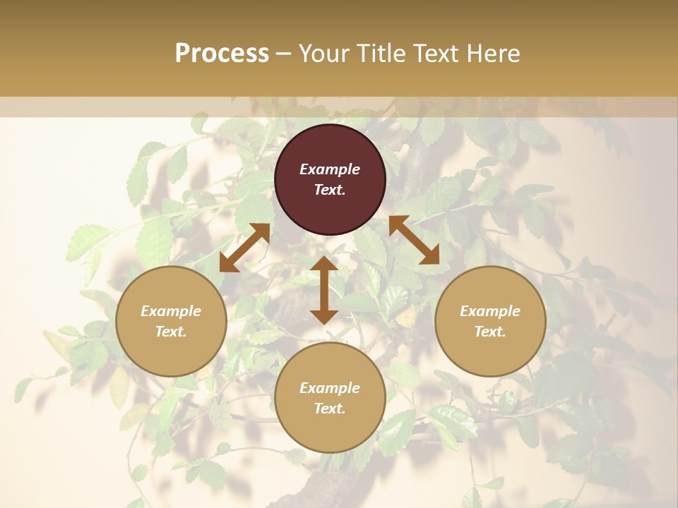 Drink Lunch Grill PowerPoint Template