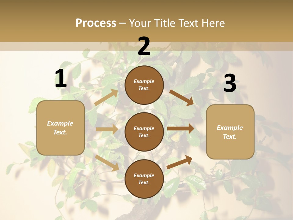 Drink Lunch Grill PowerPoint Template