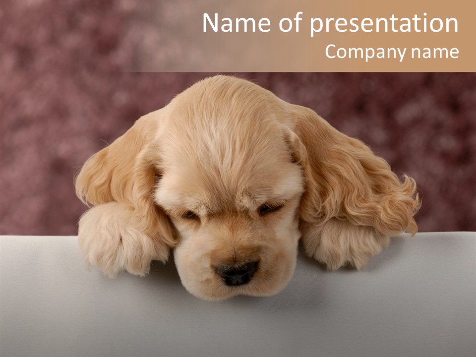 Cute Lighting Dog PowerPoint Template