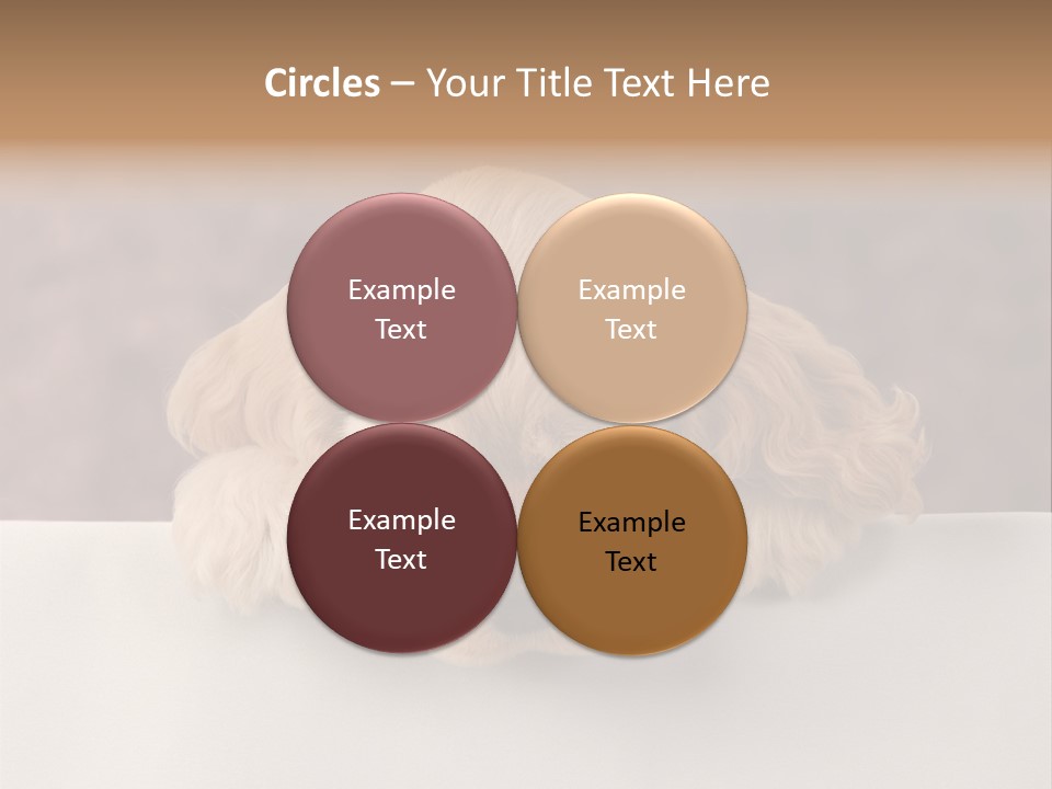 Cute Lighting Dog PowerPoint Template