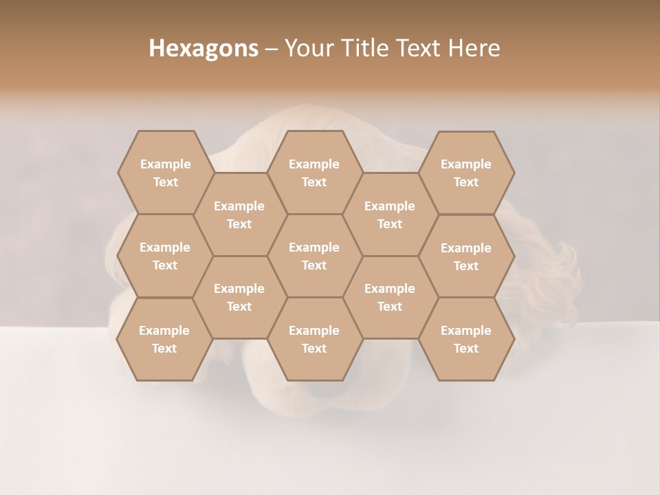 Cute Lighting Dog PowerPoint Template