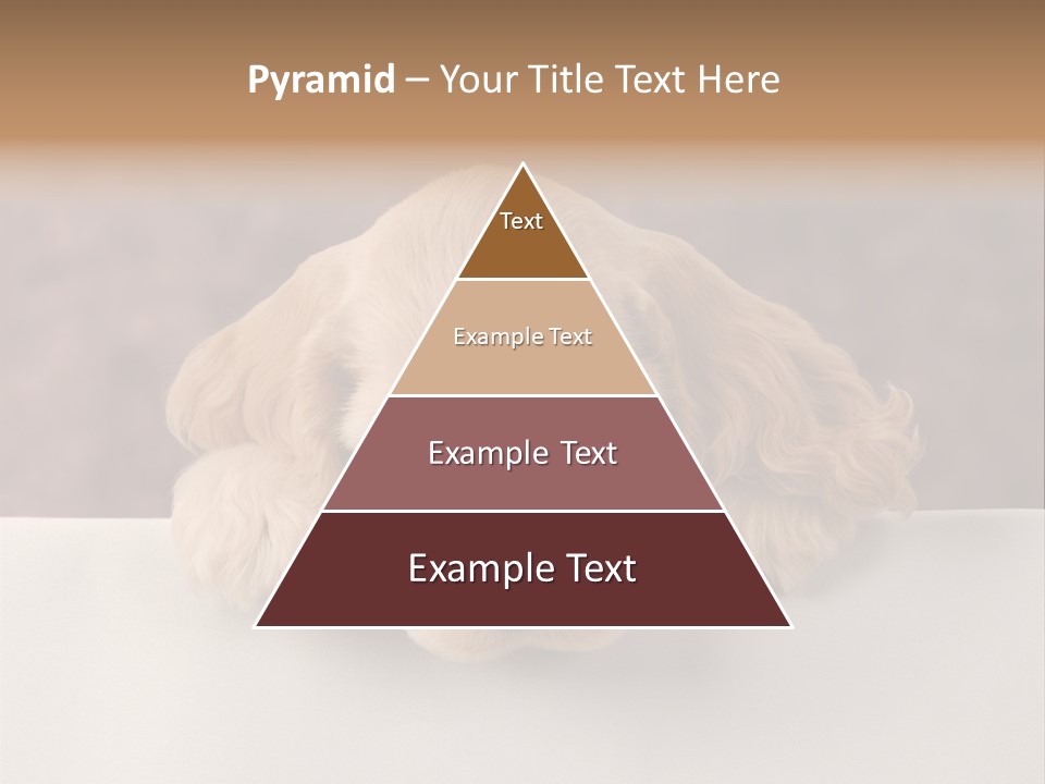 Cute Lighting Dog PowerPoint Template