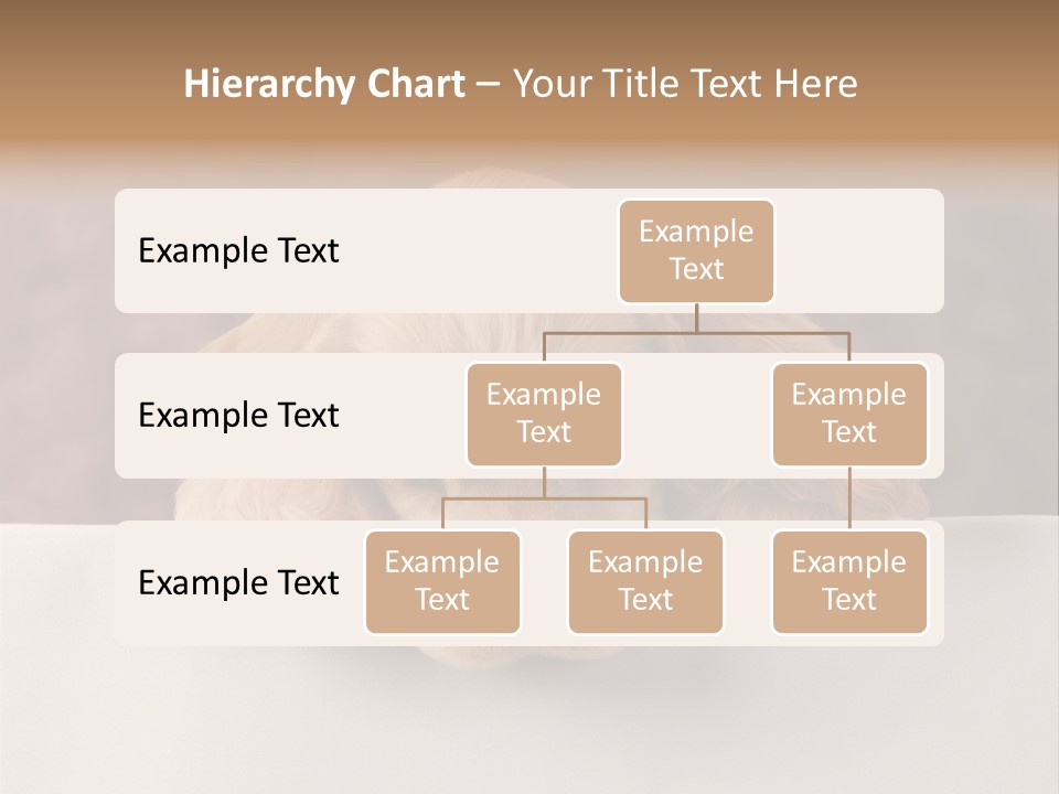 Cute Lighting Dog PowerPoint Template