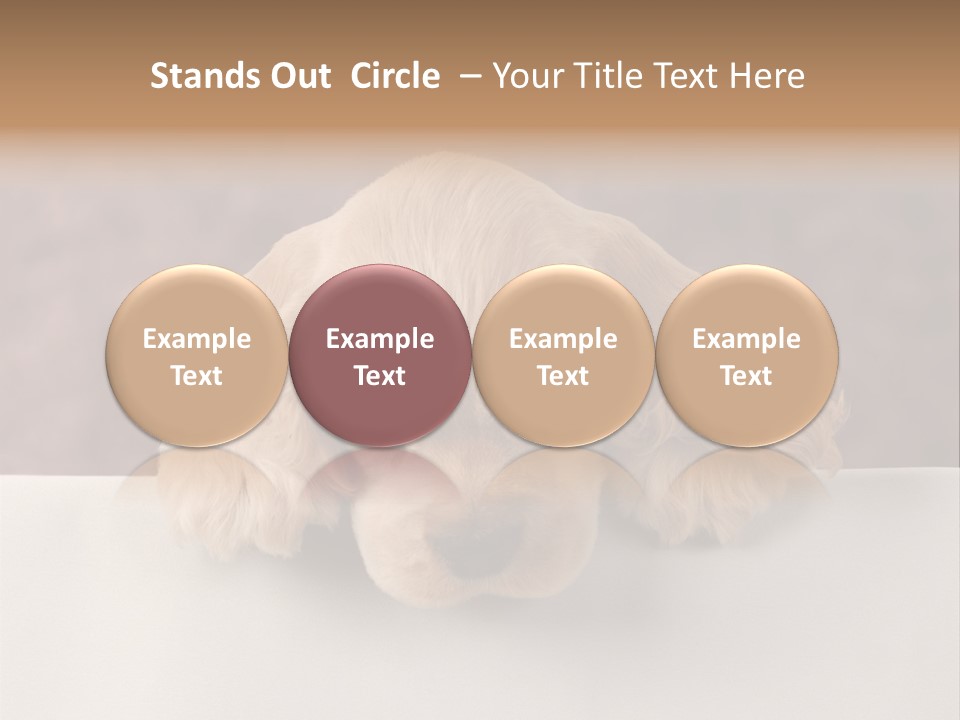 Cute Lighting Dog PowerPoint Template