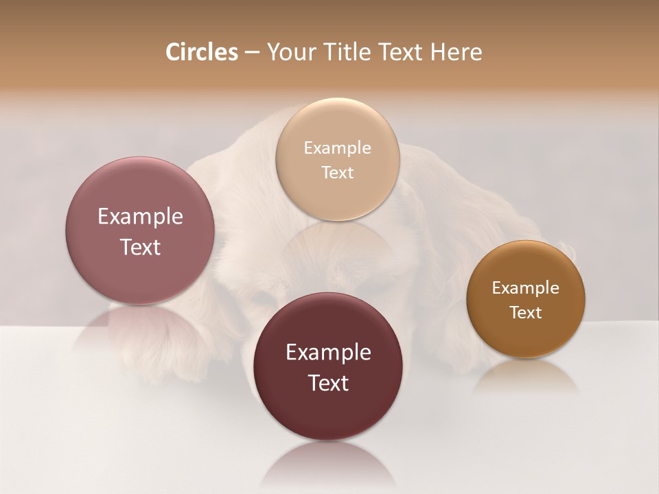 Cute Lighting Dog PowerPoint Template