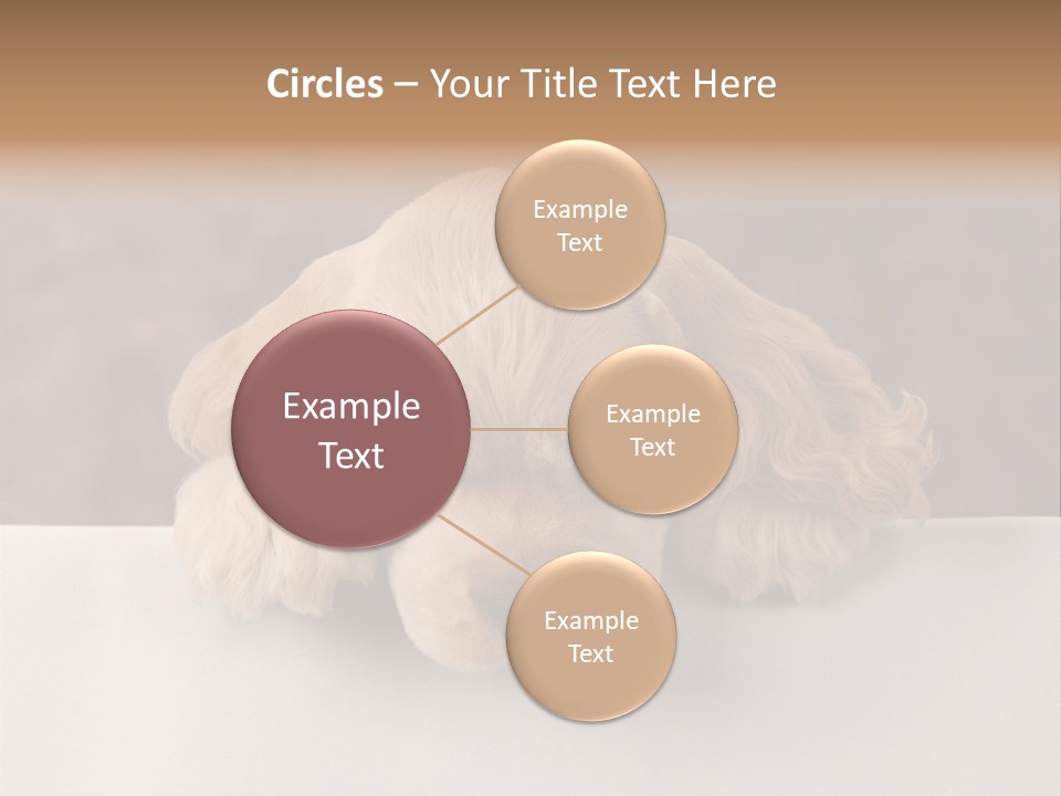 Cute Lighting Dog PowerPoint Template