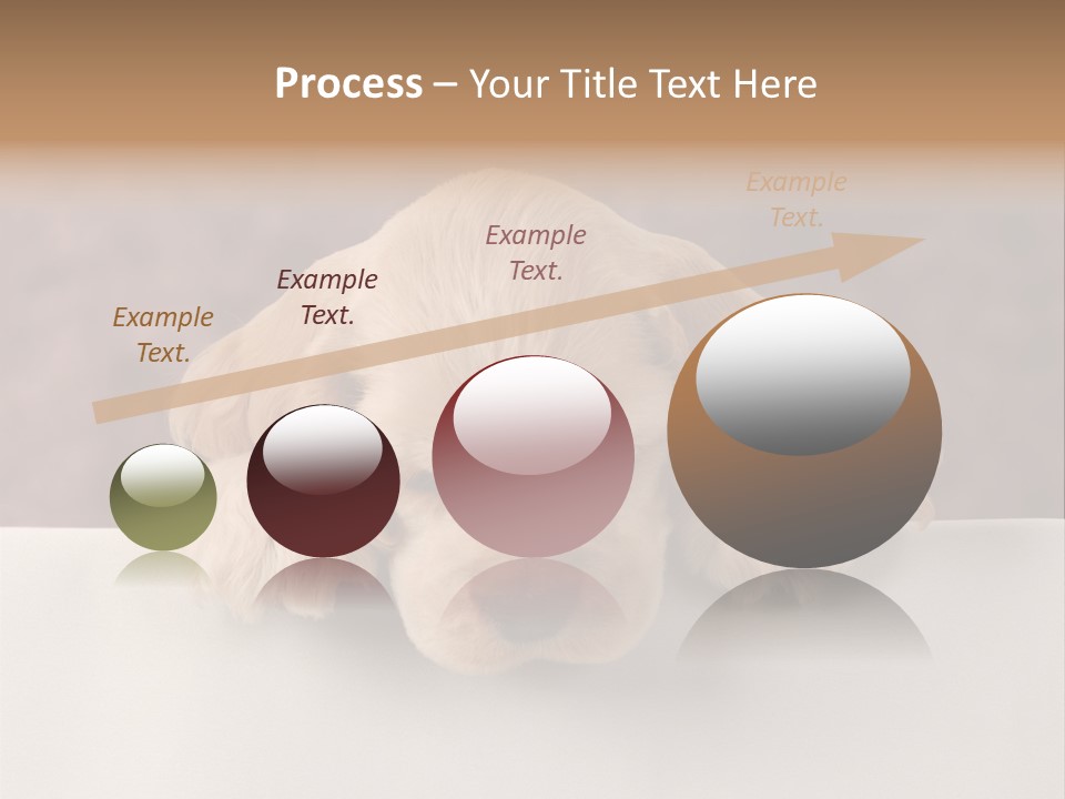 Cute Lighting Dog PowerPoint Template