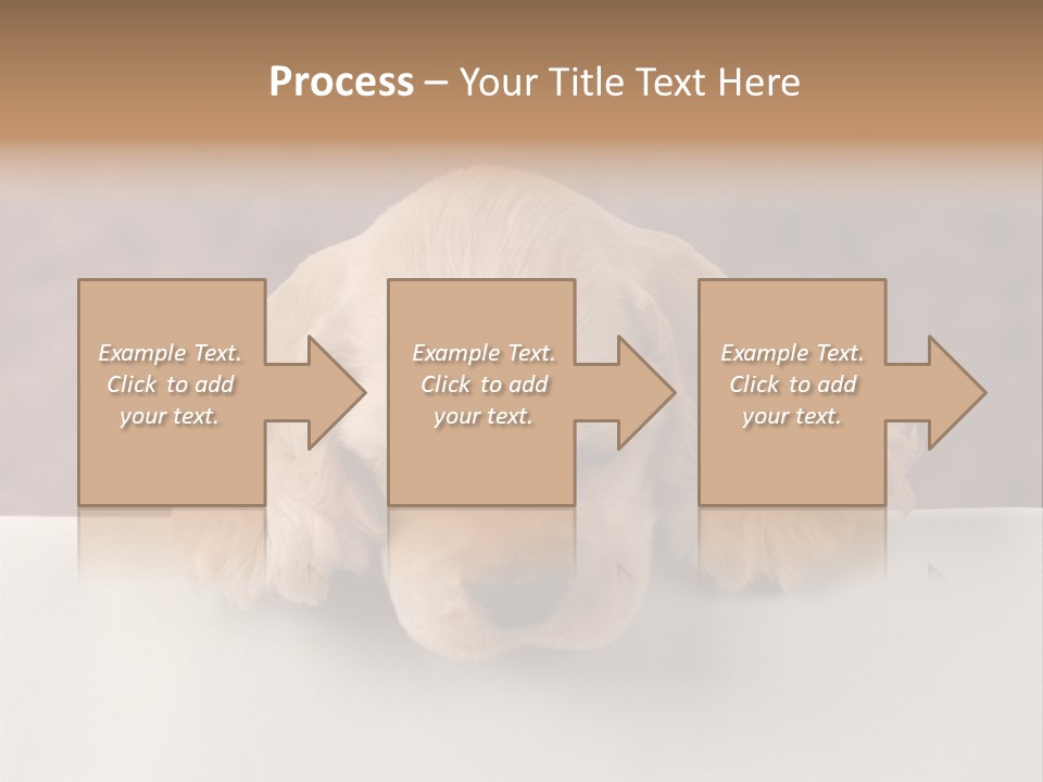 Cute Lighting Dog PowerPoint Template