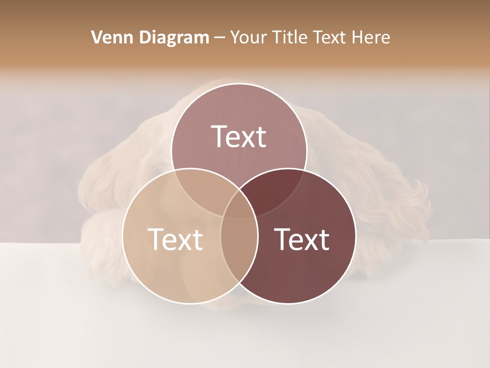 Cute Lighting Dog PowerPoint Template