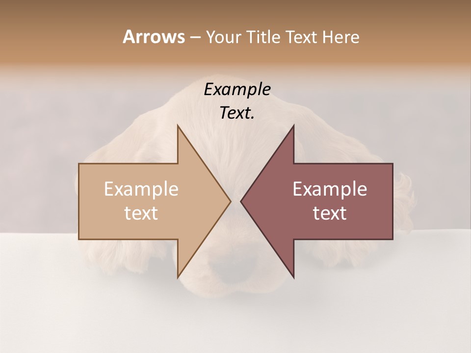 Cute Lighting Dog PowerPoint Template