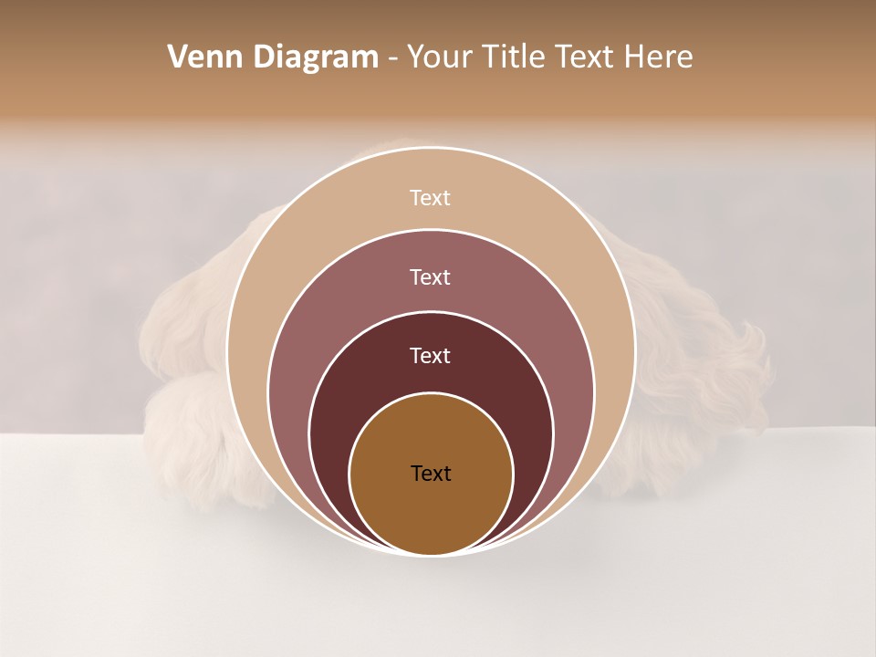 Cute Lighting Dog PowerPoint Template