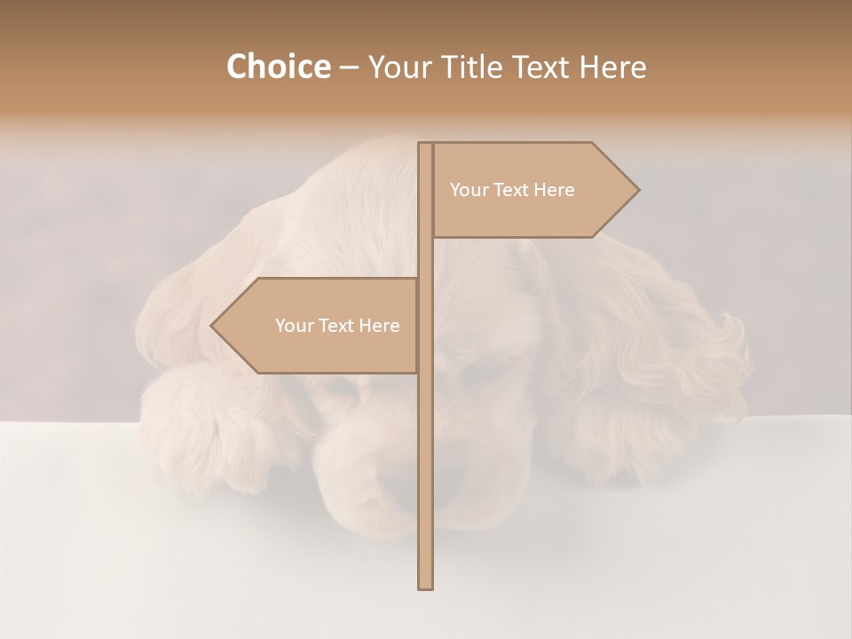 Cute Lighting Dog PowerPoint Template