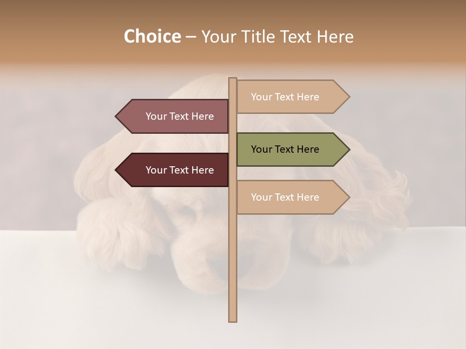 Cute Lighting Dog PowerPoint Template