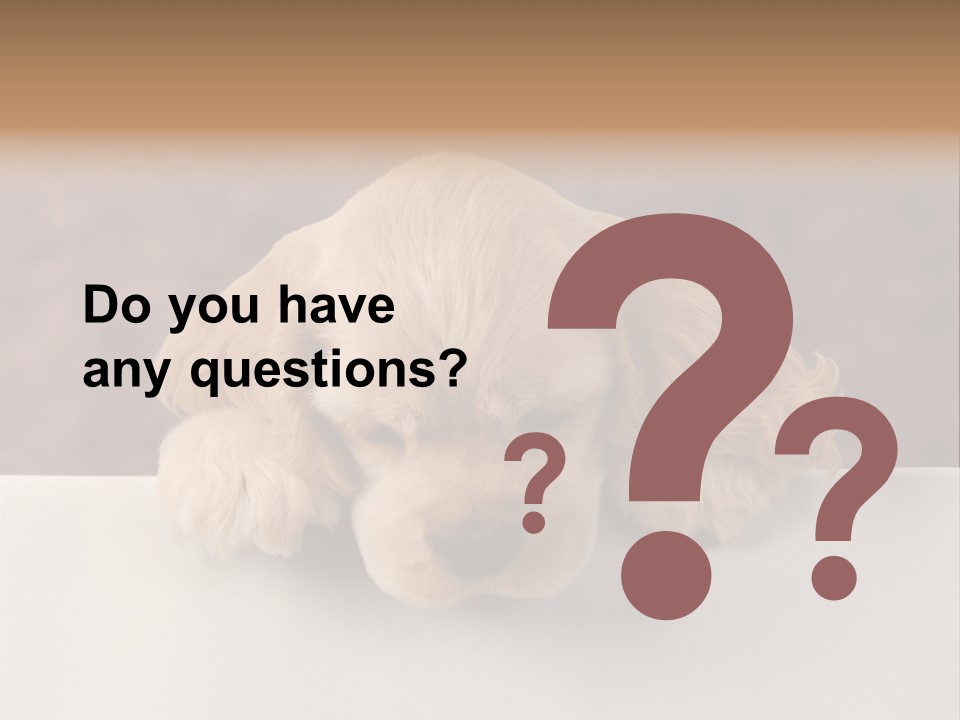 Cute Lighting Dog PowerPoint Template