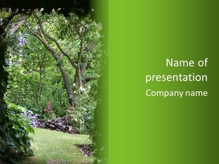 A Path Through A Lush Green Forest With Lots Of Trees PowerPoint Template