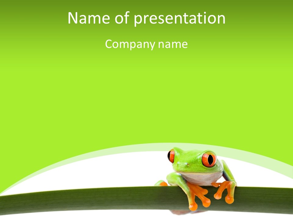 Leaf Redeyed Tree Frog Copyspace PowerPoint Template