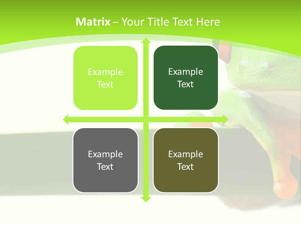 Leaf Redeyed Tree Frog Copyspace PowerPoint Template