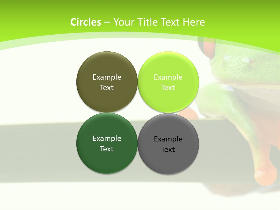 Leaf Redeyed Tree Frog Copyspace PowerPoint Template