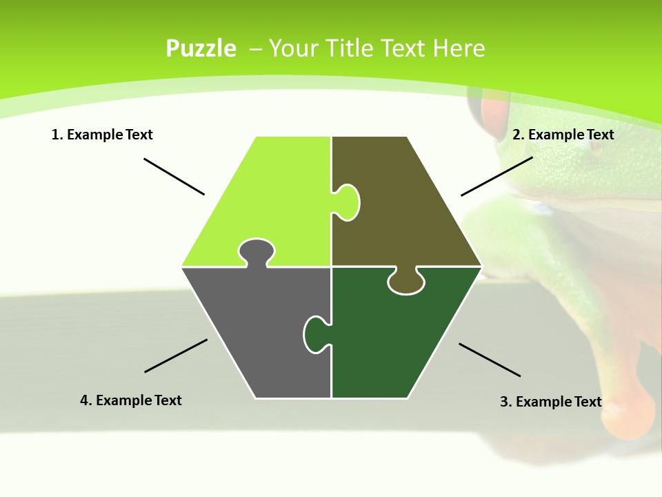 Leaf Redeyed Tree Frog Copyspace PowerPoint Template