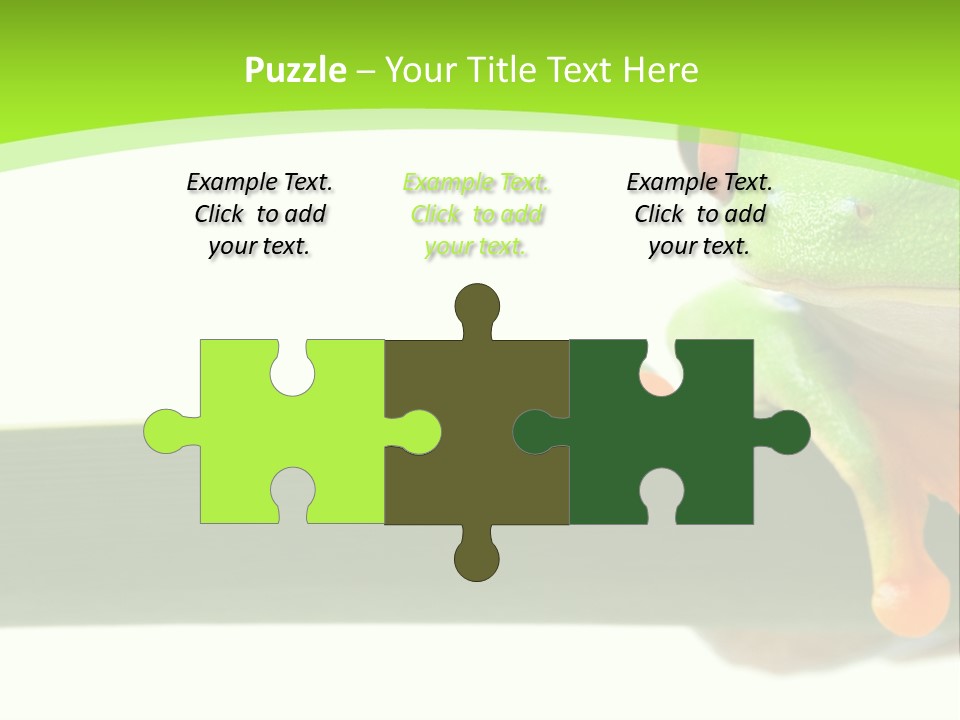 Leaf Redeyed Tree Frog Copyspace PowerPoint Template