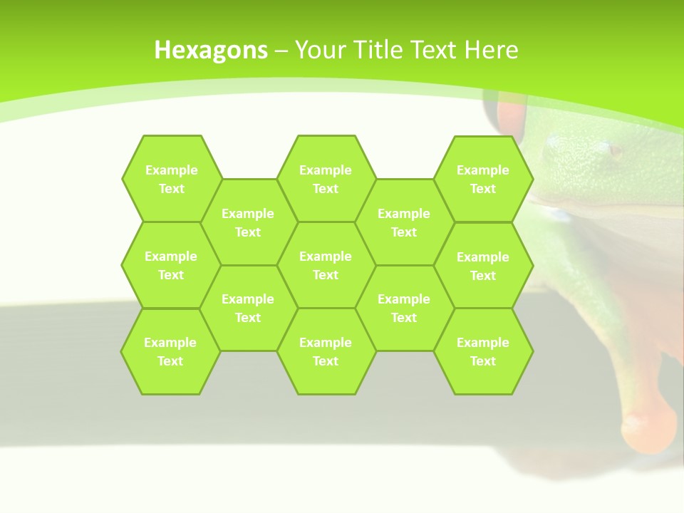 Leaf Redeyed Tree Frog Copyspace PowerPoint Template