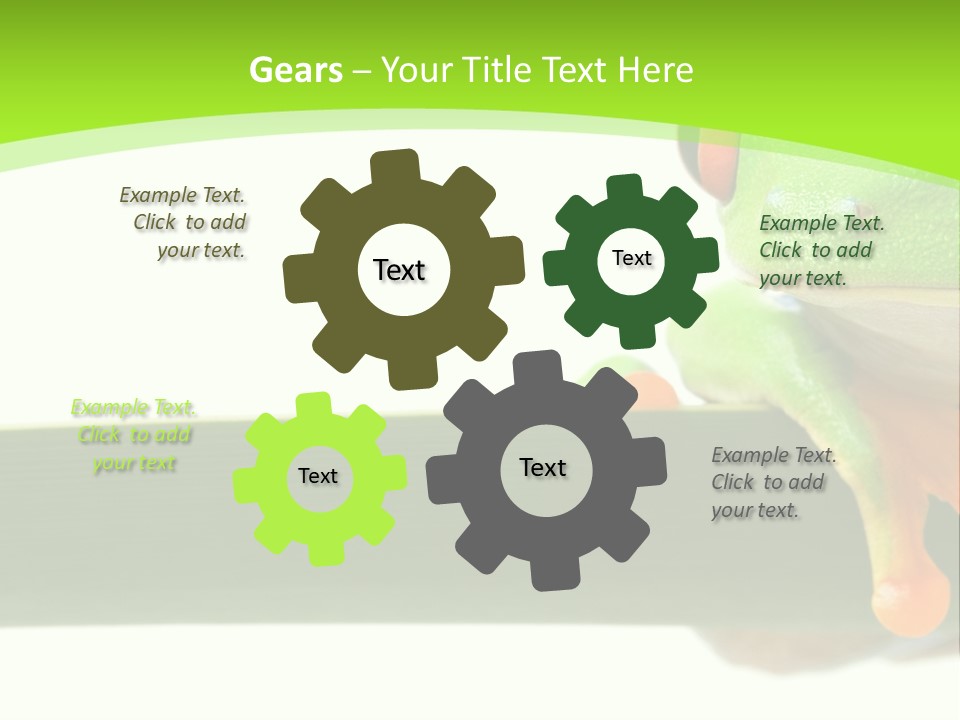 Leaf Redeyed Tree Frog Copyspace PowerPoint Template