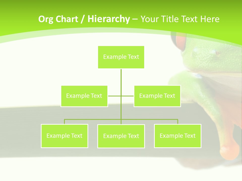 Leaf Redeyed Tree Frog Copyspace PowerPoint Template
