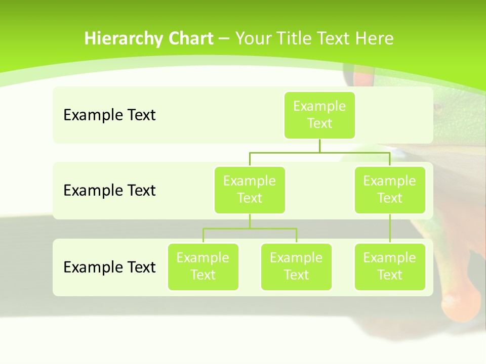 Leaf Redeyed Tree Frog Copyspace PowerPoint Template