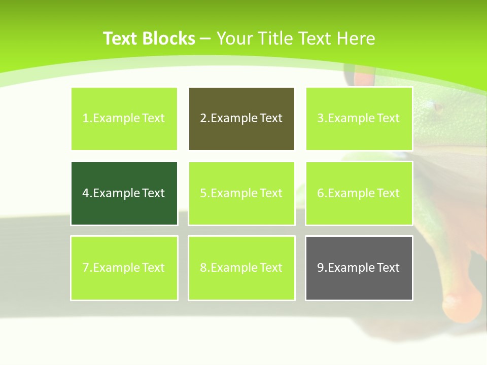 Leaf Redeyed Tree Frog Copyspace PowerPoint Template