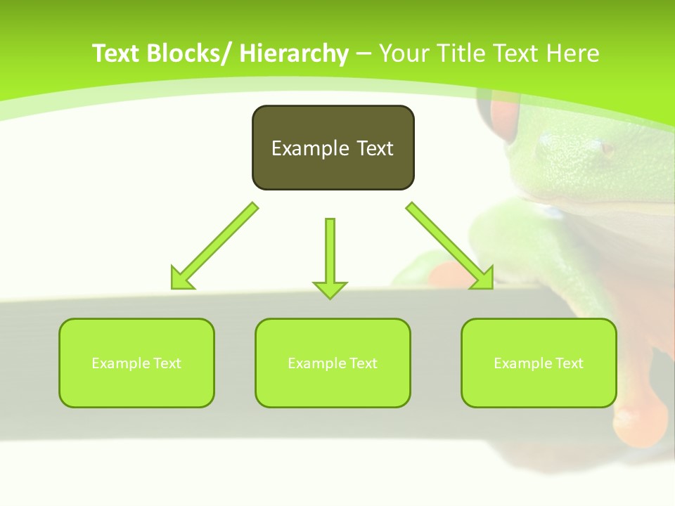 Leaf Redeyed Tree Frog Copyspace PowerPoint Template