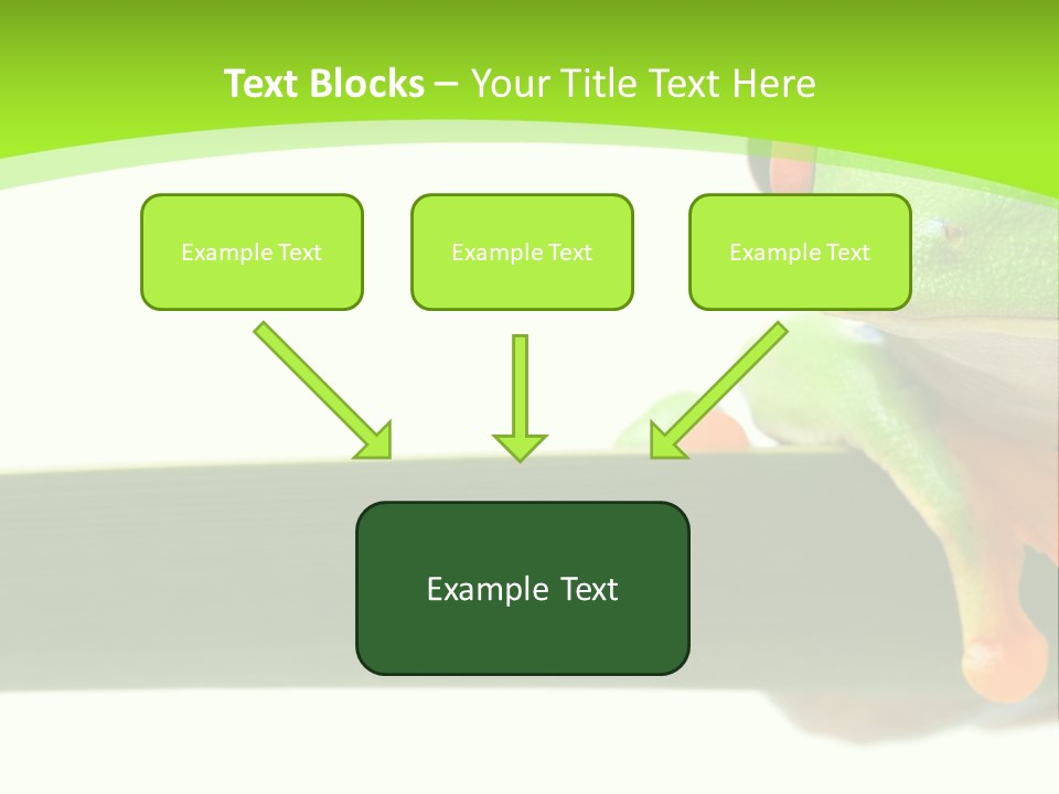 Leaf Redeyed Tree Frog Copyspace PowerPoint Template