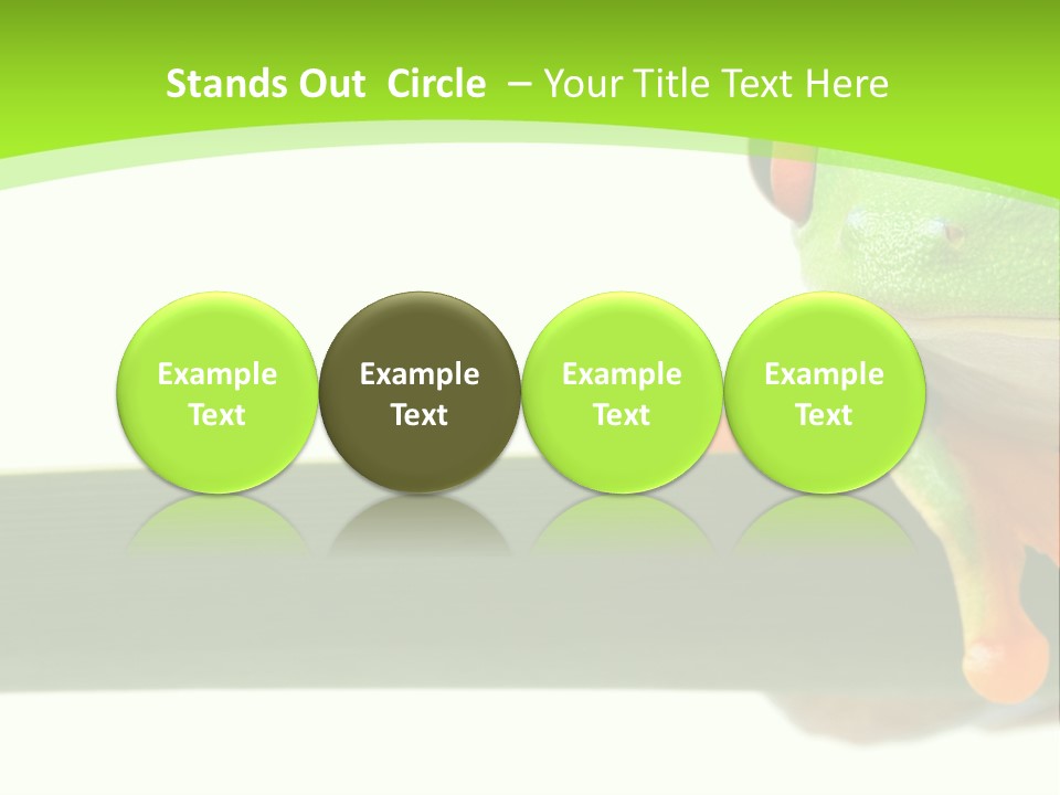 Leaf Redeyed Tree Frog Copyspace PowerPoint Template