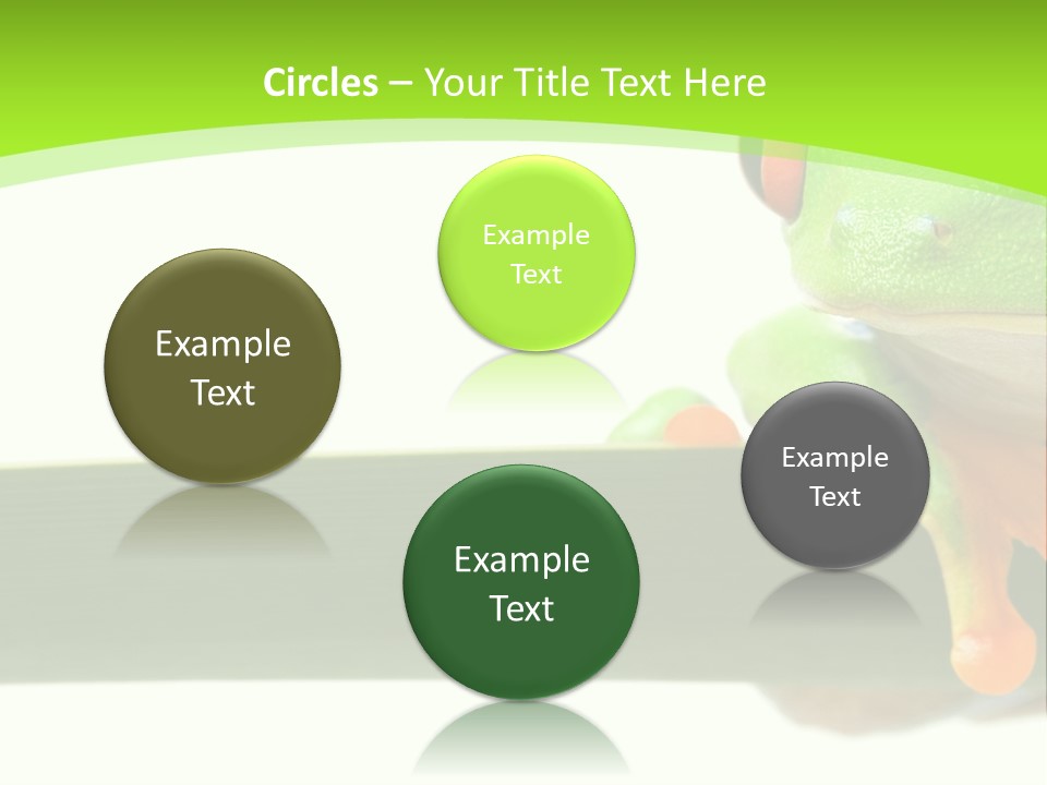 Leaf Redeyed Tree Frog Copyspace PowerPoint Template