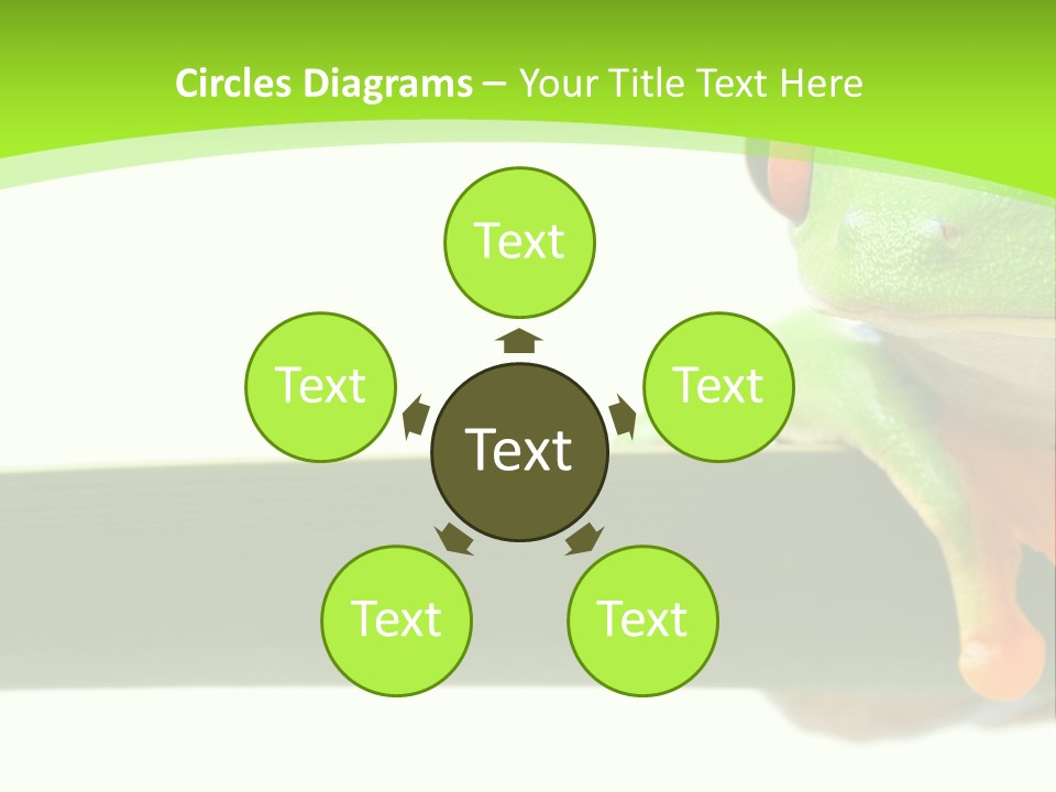 Leaf Redeyed Tree Frog Copyspace PowerPoint Template