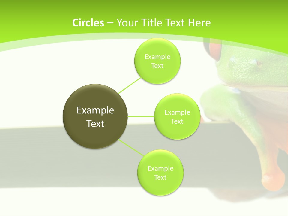 Leaf Redeyed Tree Frog Copyspace PowerPoint Template