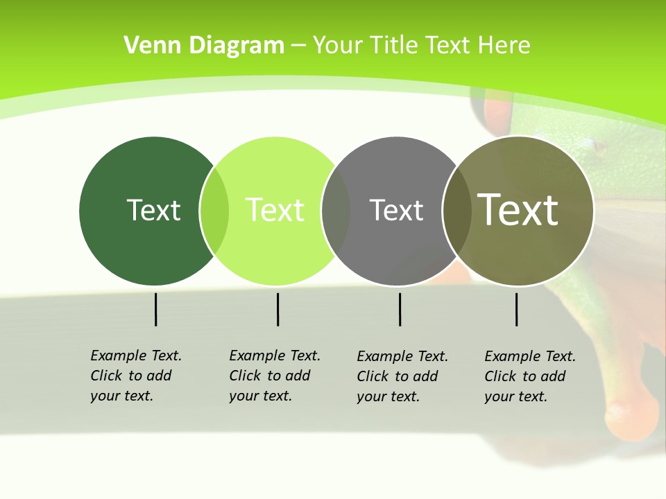 Leaf Redeyed Tree Frog Copyspace PowerPoint Template
