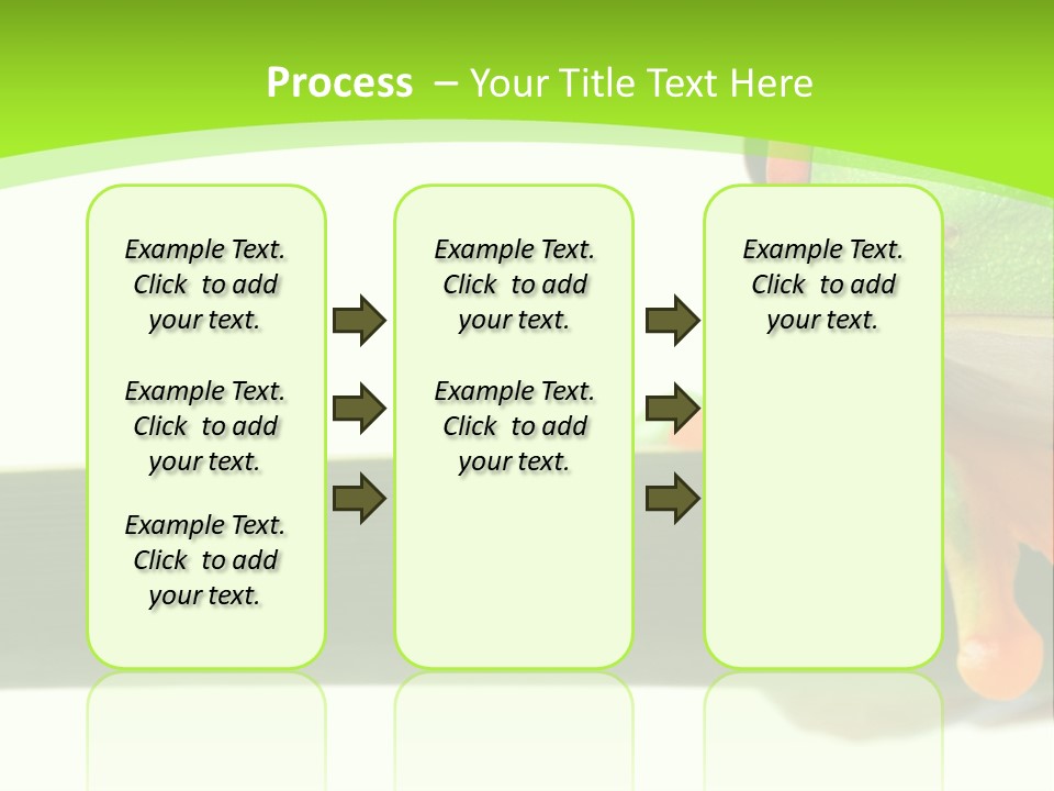Leaf Redeyed Tree Frog Copyspace PowerPoint Template