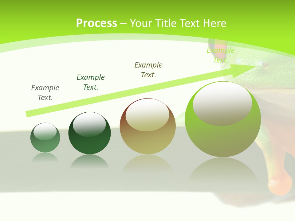 Leaf Redeyed Tree Frog Copyspace PowerPoint Template