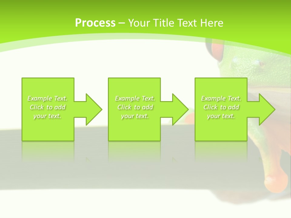 Leaf Redeyed Tree Frog Copyspace PowerPoint Template