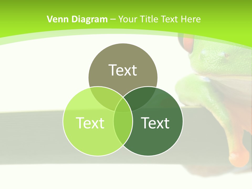 Leaf Redeyed Tree Frog Copyspace PowerPoint Template