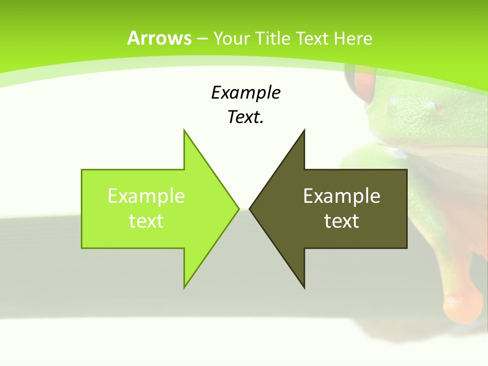 Leaf Redeyed Tree Frog Copyspace PowerPoint Template