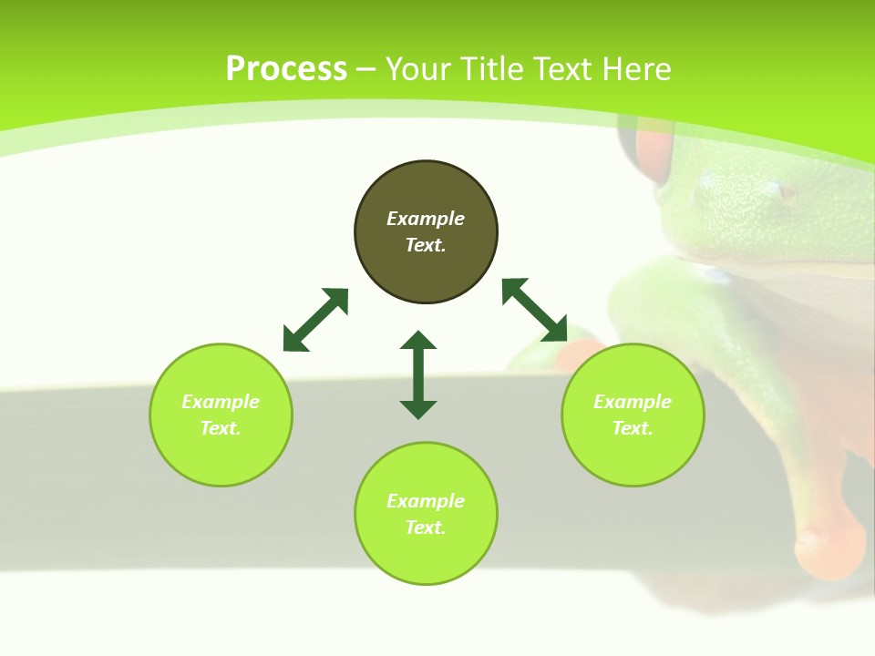 Leaf Redeyed Tree Frog Copyspace PowerPoint Template