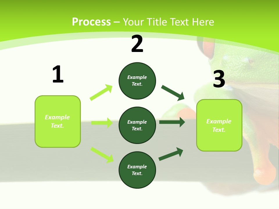 Leaf Redeyed Tree Frog Copyspace PowerPoint Template